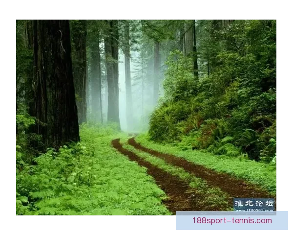 188体育app下载官方最新版安装指南与热门赛事实时观看体验